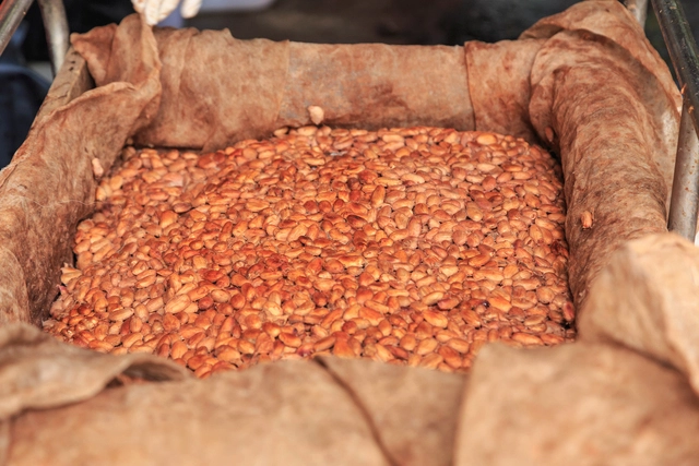 Wanted : Cocoa Product Like Cocoa Shell, Cocoa Nibs