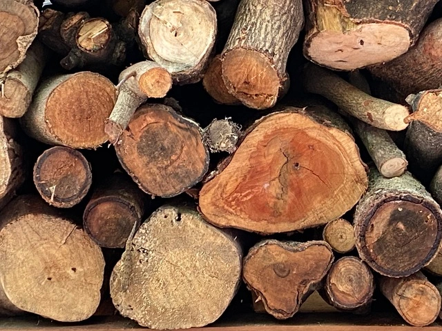 Wanted : Wood Like Sawn, Rosewood And Ebony Wood