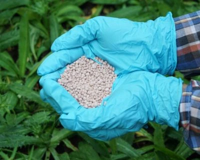 Wanted : Fertilizers Like Granular Urea N46