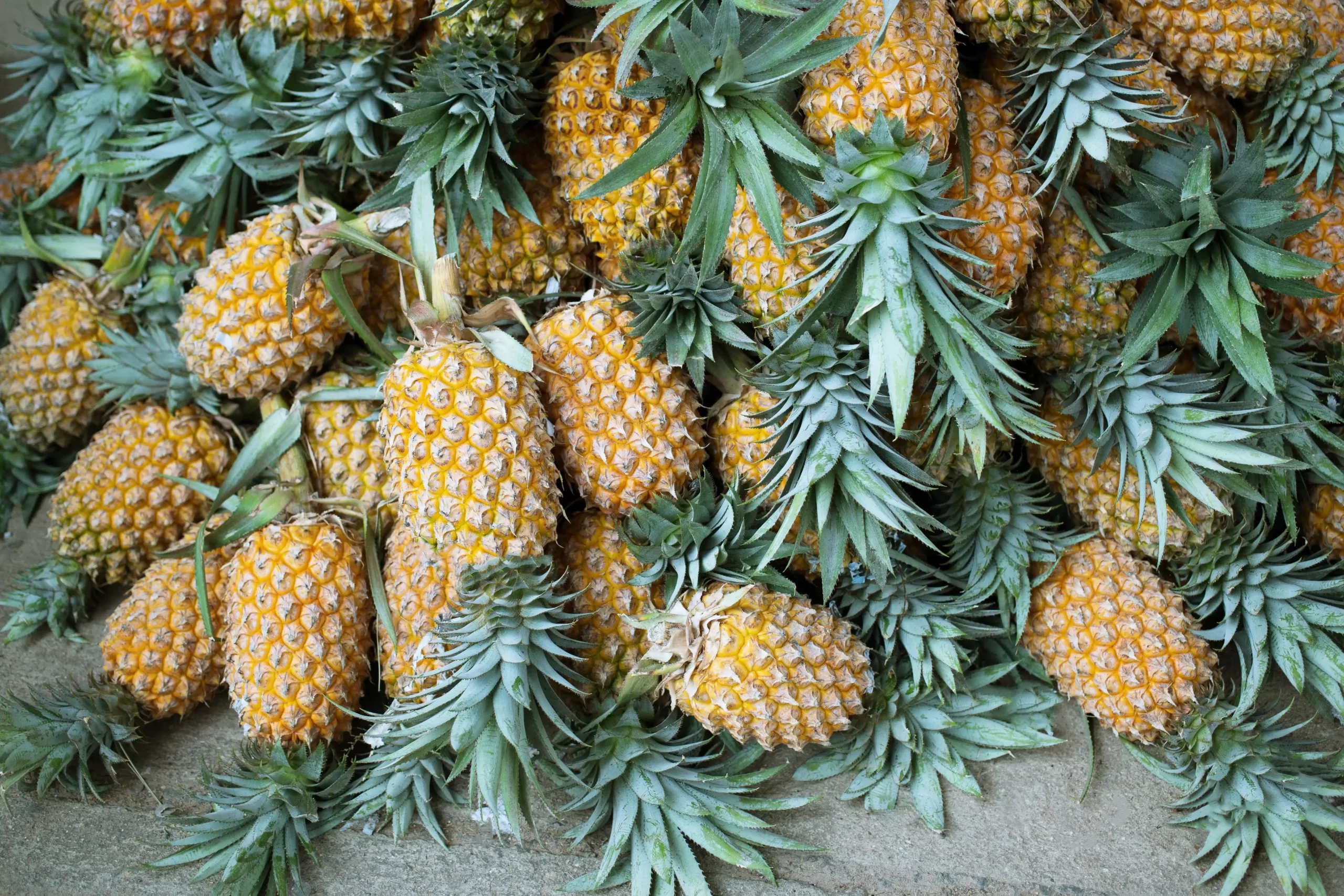 Wanted : Fresh Fruits Like Pine apple, Orange And Pomegranate